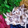 Kinder-Kurs: Pasta-Labor